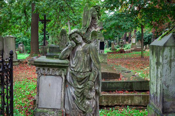 Olšanské cintoríny