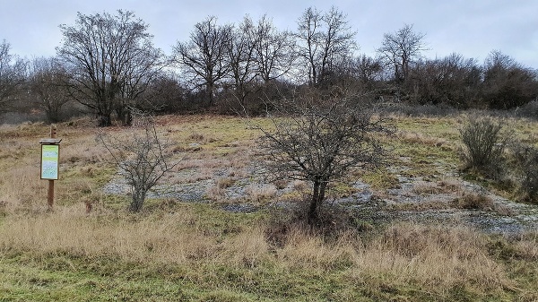 Škrapy, typický krasový útvar