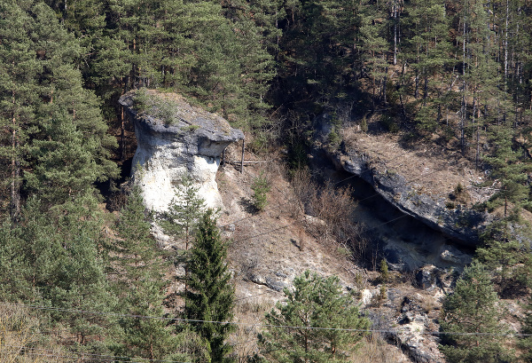 Ľupčiansky skalný hríb 