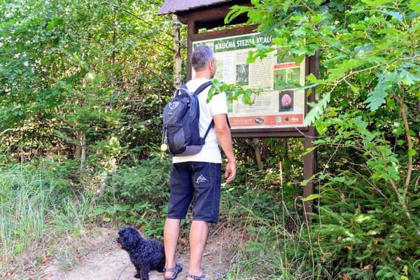 Na skok od Slovenska: