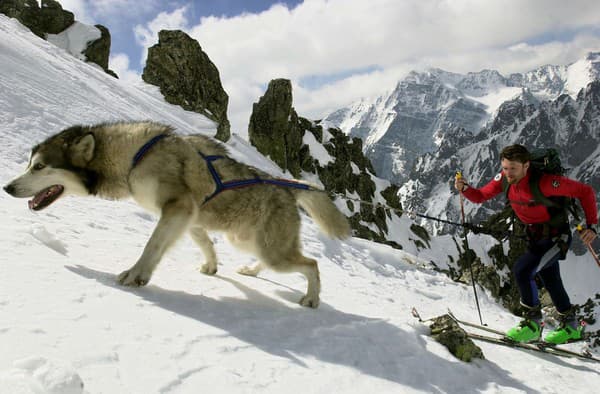 Skialpinistická sezóna v slovenskej
