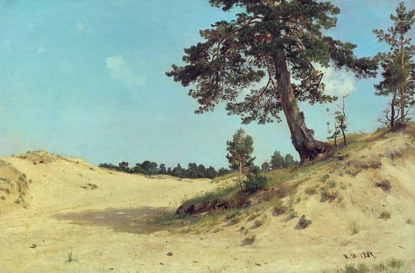 Borovica na piesku (1884)