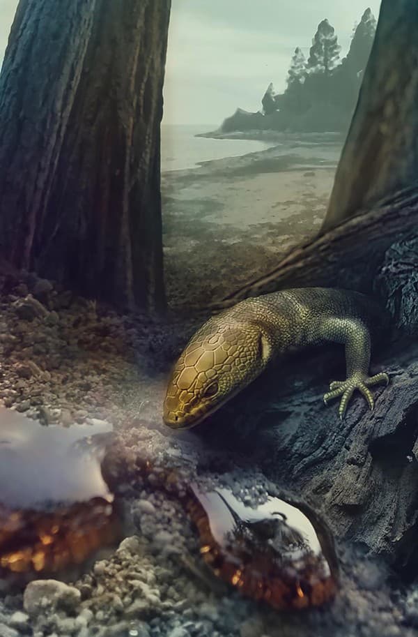 Retinosaurus hkamtiensis predtým, než ho živica uväznila. Rekonštrukcia Stephanie Abramowicz, copyright Peretti Museum Foundation; Čerňanský et al., 2022 Scientific Reports