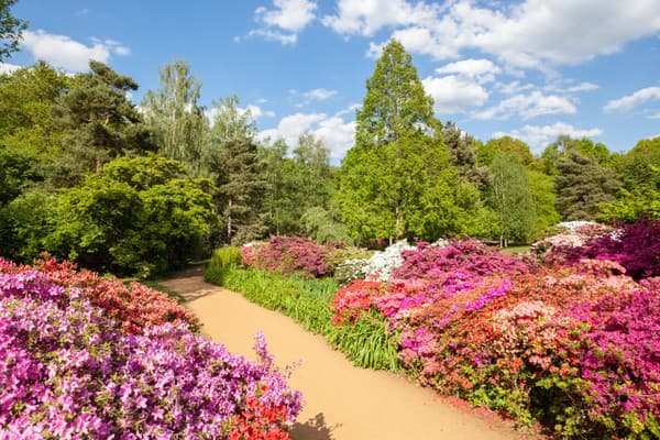 Záhrada Isabella Plantation