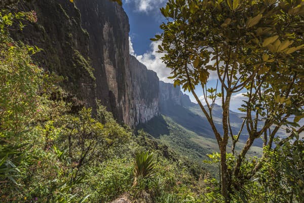 Stolová hora Roraima -
