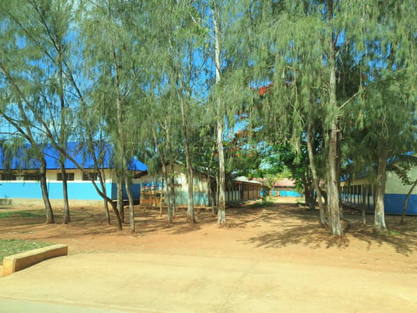 Zanzibarská škola