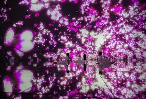 Magický svet múzea teamLab