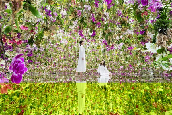 Magický svet múzea teamLab