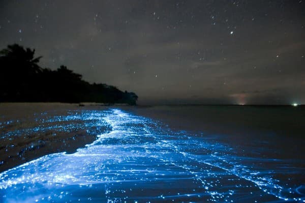 Sea of Stars, Maldives