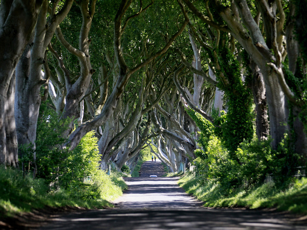 Krásy Severného Írska