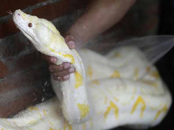 Aj had potrebuje hygienu