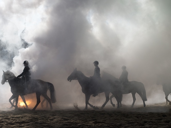 Holandská kavaléria