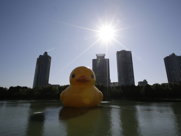 Obria gumená kačička je atrakciou Soulu.