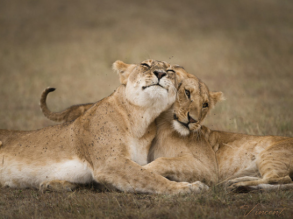 S objatím je každý deň krajší.