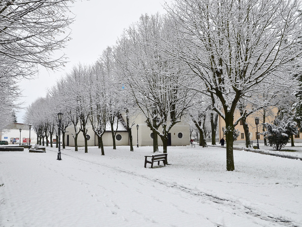 Dnes napadol prvý sneh :)