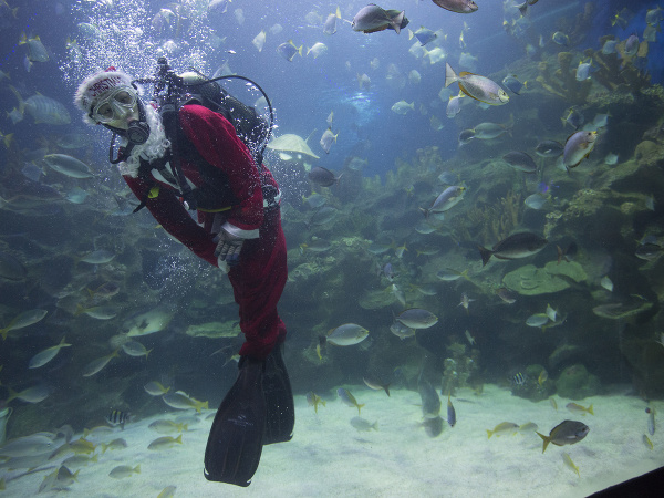 V Malajzii oslavujú príchod Vianoc netradične.