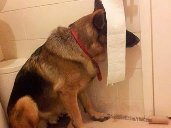 Ani Vám sa nič nechce? Tak sa inšpirujte napríklad hrou na skrývačku