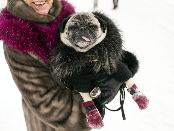 Aj zvieratkám je zima