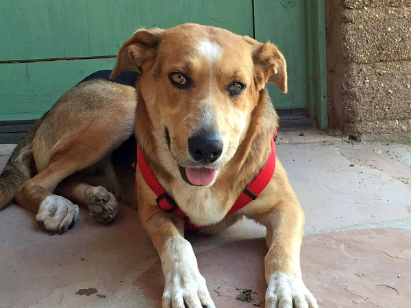 Sunny sa teší dobrému zdraviu.