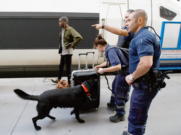 Štvornohí policajti