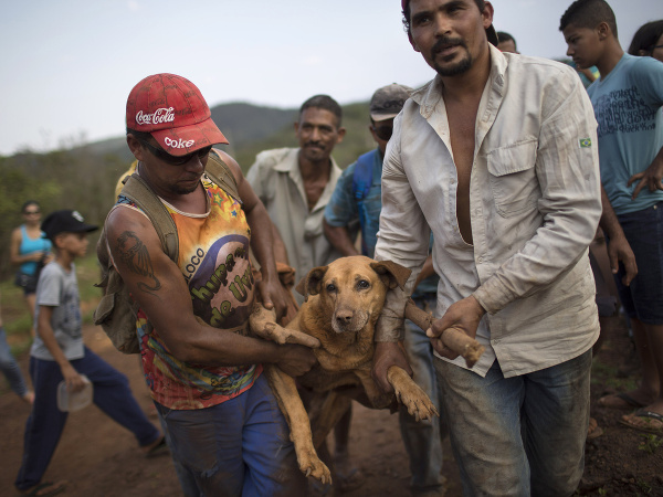 Muži zachránili zraneného psíka, ktorý uviazol počas povodní v Brazílii