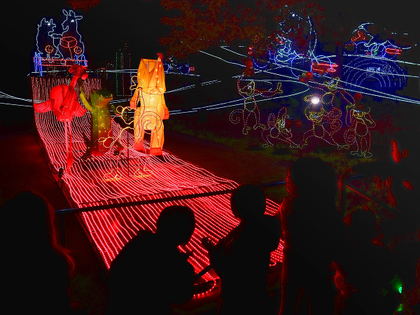 V losangeleskej ZOO sa rozsvietili vianočné svetlá.