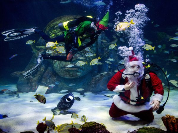 Podmorský Santa Claus