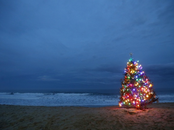 Vianočný stromček na pláži