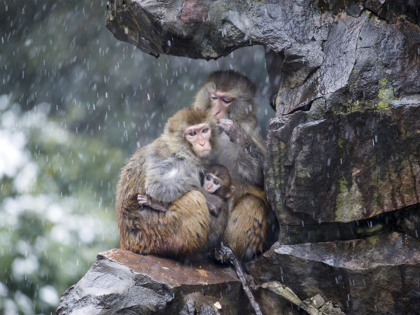 Poriadne mrzne aj v Číne