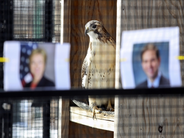 Jastrab si zvolil prezidenta