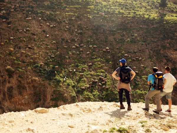 Zo života stopárov