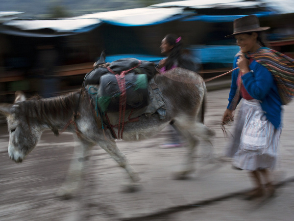 Voľby v Peru tak trochu inak