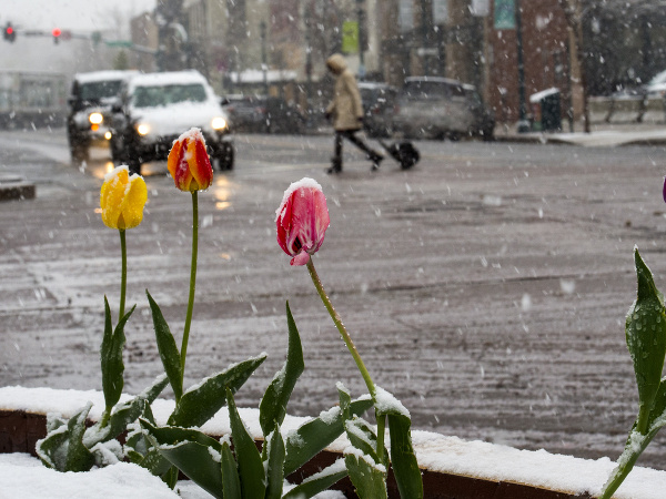 Colorado prekvapila snehová nádielka