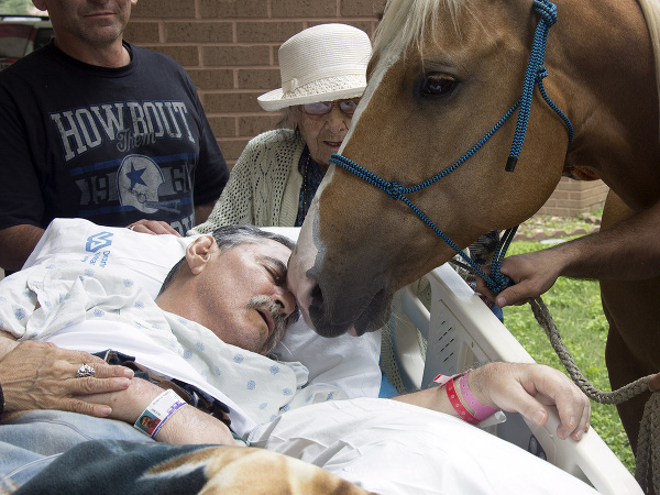 Paralyzovaní veterán si želal vidieť svojho koňa.