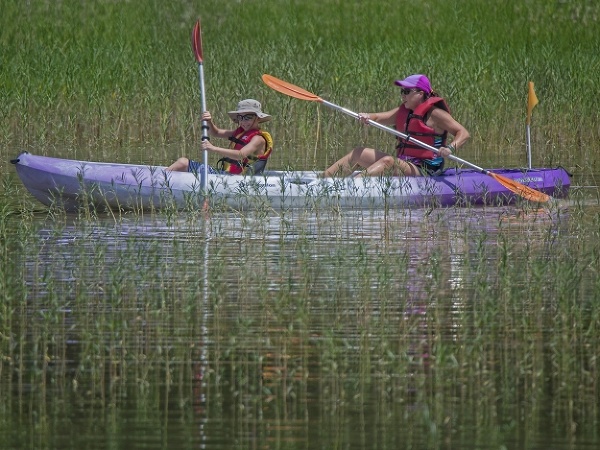 Leto je v plnom prúde
