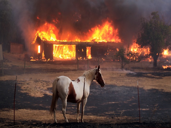 Lesný požiar v Kalifornii 