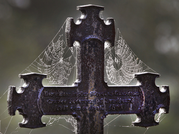 Pavučina vytvorená na kríži na dánskom cintoríne