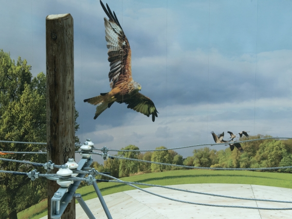 Sedím na vedení a je mi dobre