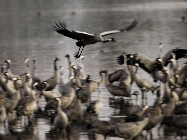 Zastávka pre dlhou cestou