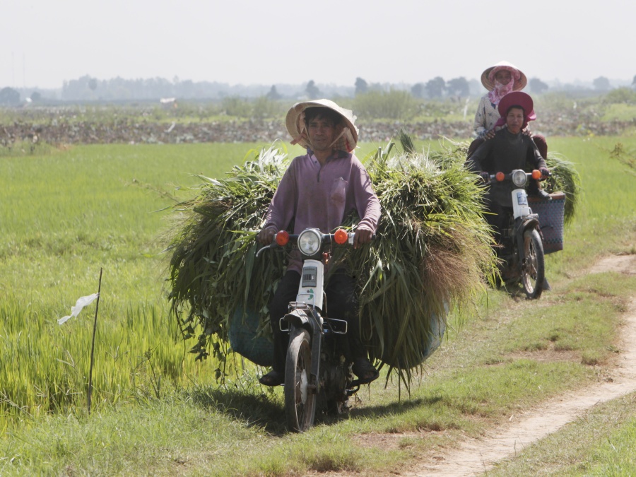 Kambodžskí roľníci