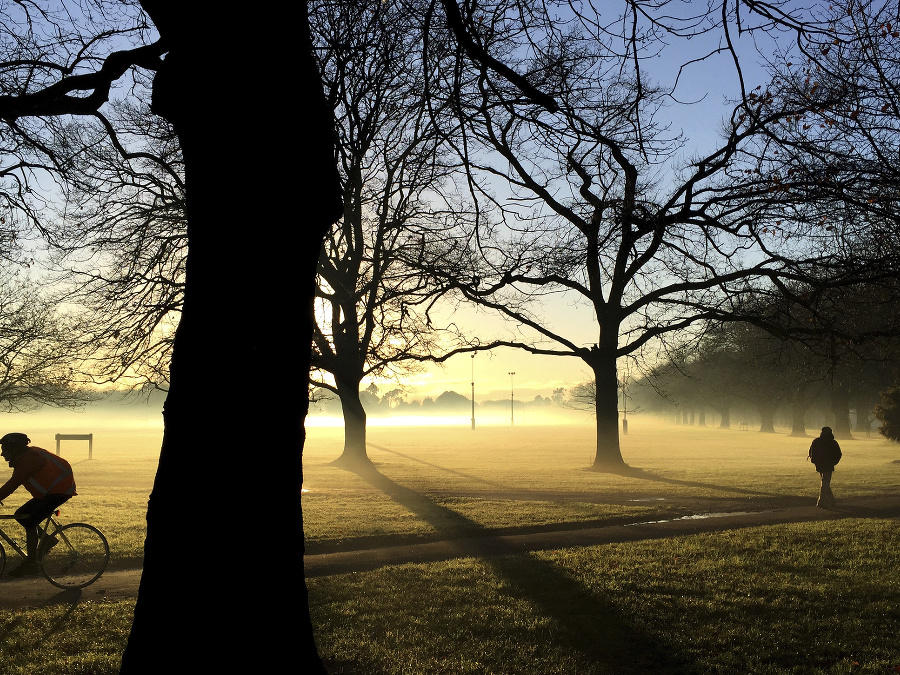 Ráno v parku