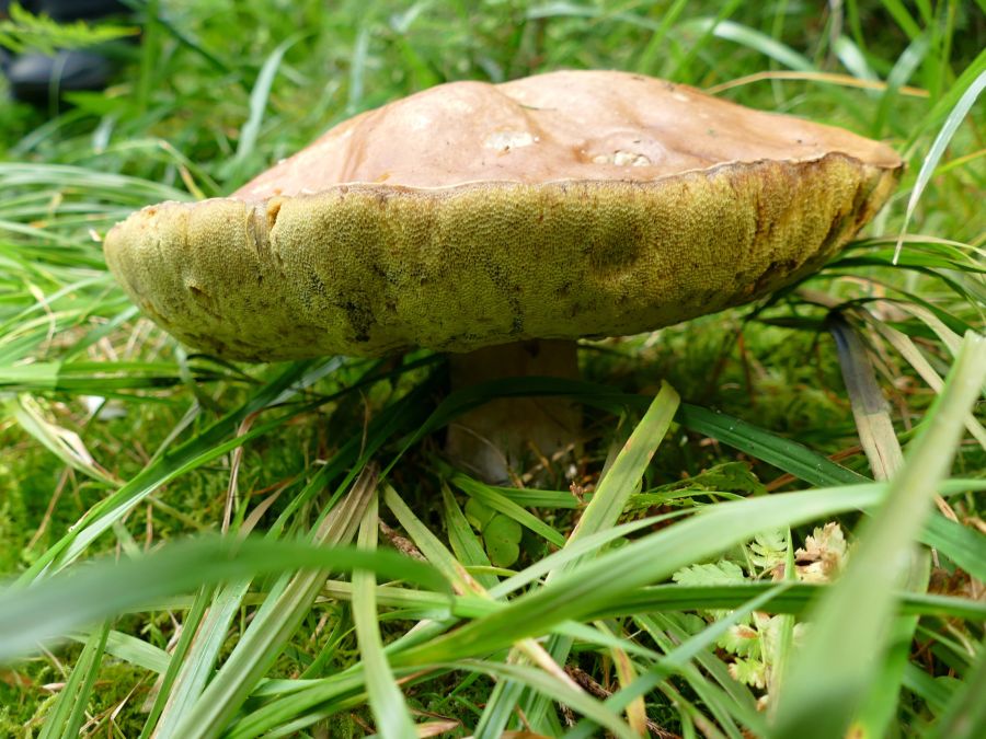 Hubová sezóna opäť zahájená