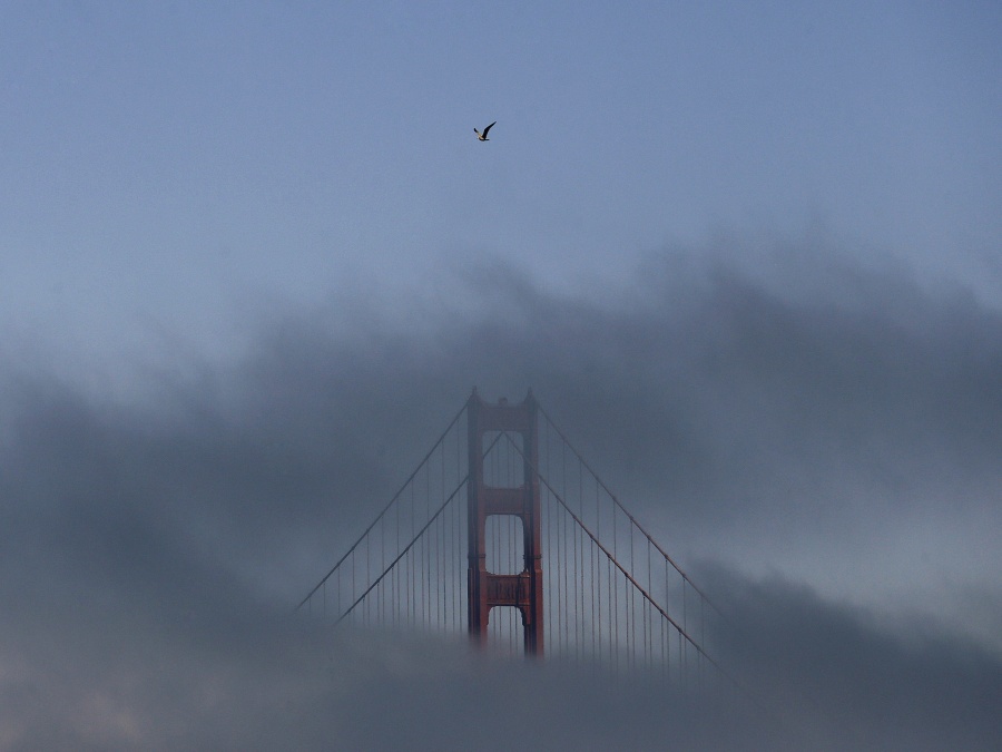 Orol v San Franciscu