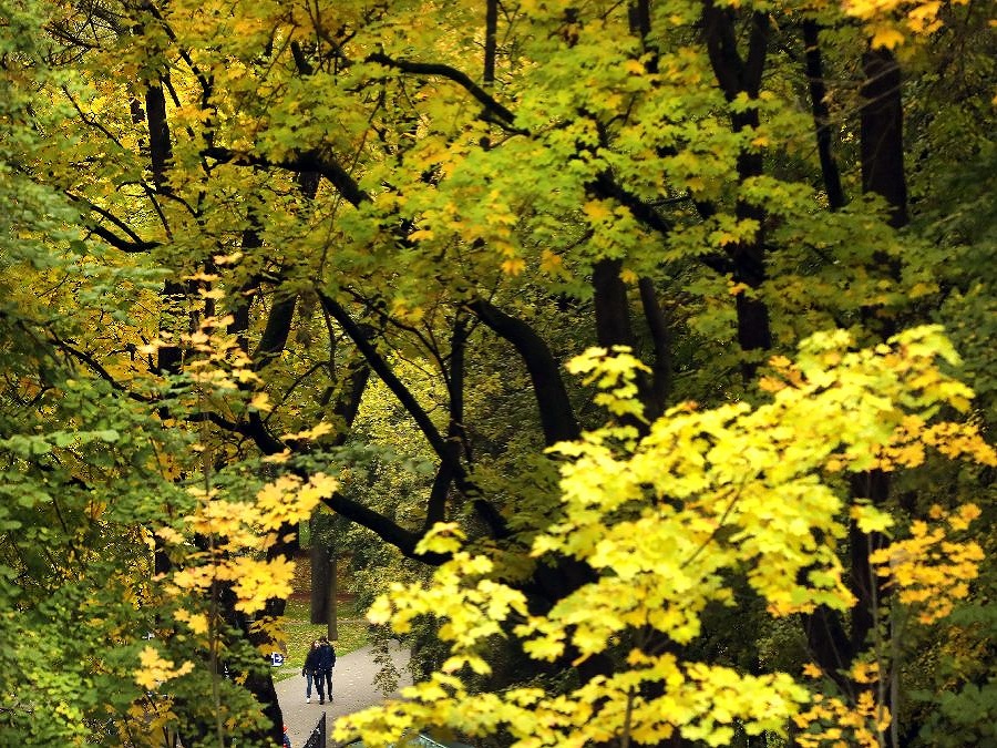 Bielorusko sa ponorilo do čarovných farieb jesene