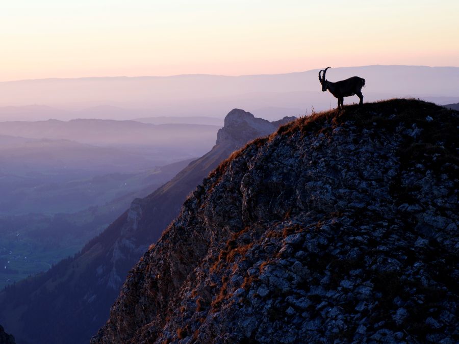 Mliečna dráha vo Švajčiarskych Alpách 