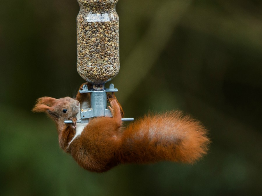 Vynaliezavosť nepozná hranice