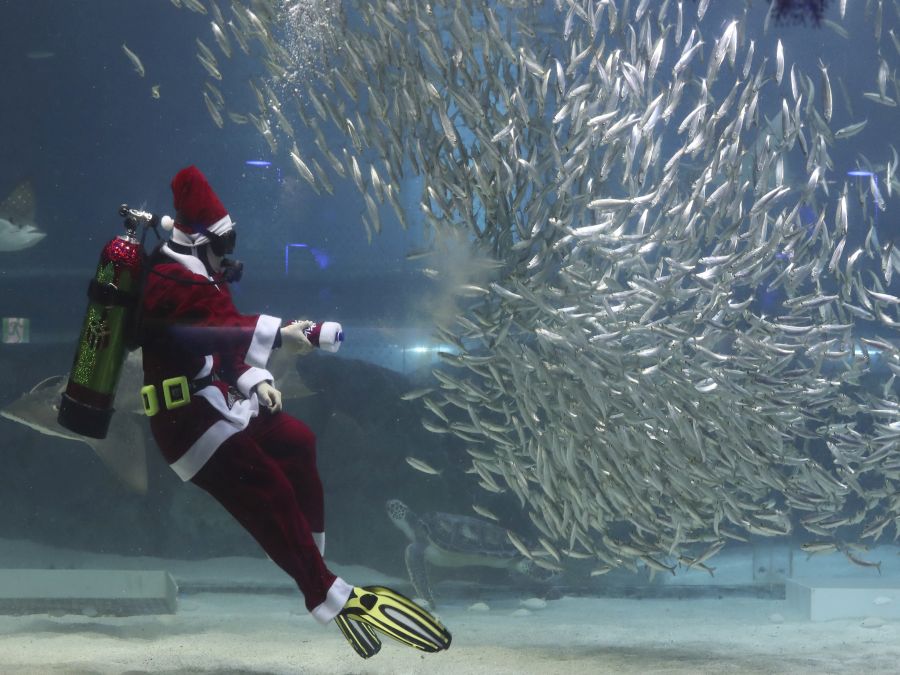 Santa v akváriu 