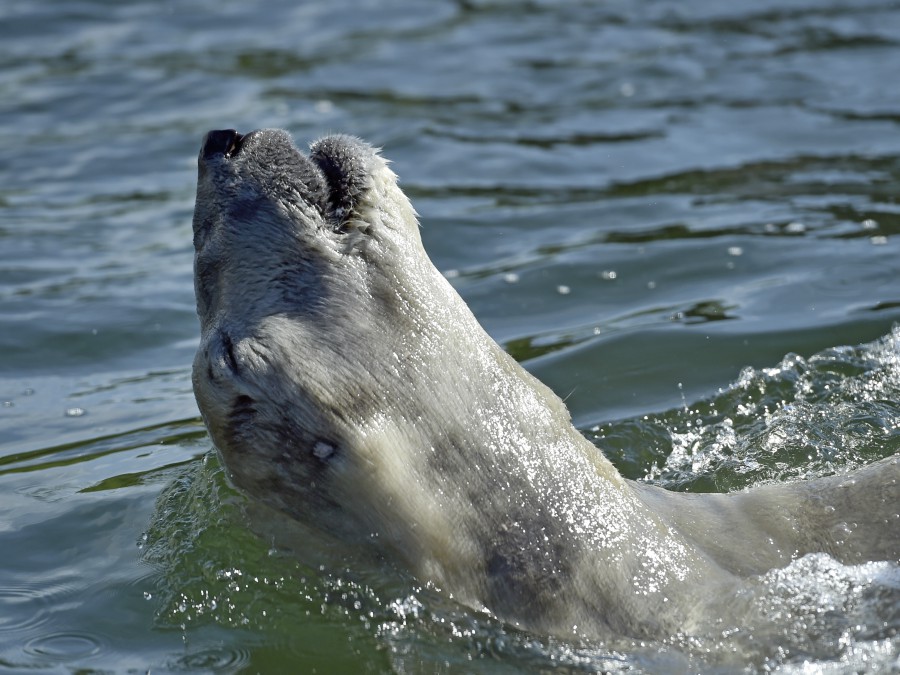 To pravé schladenie