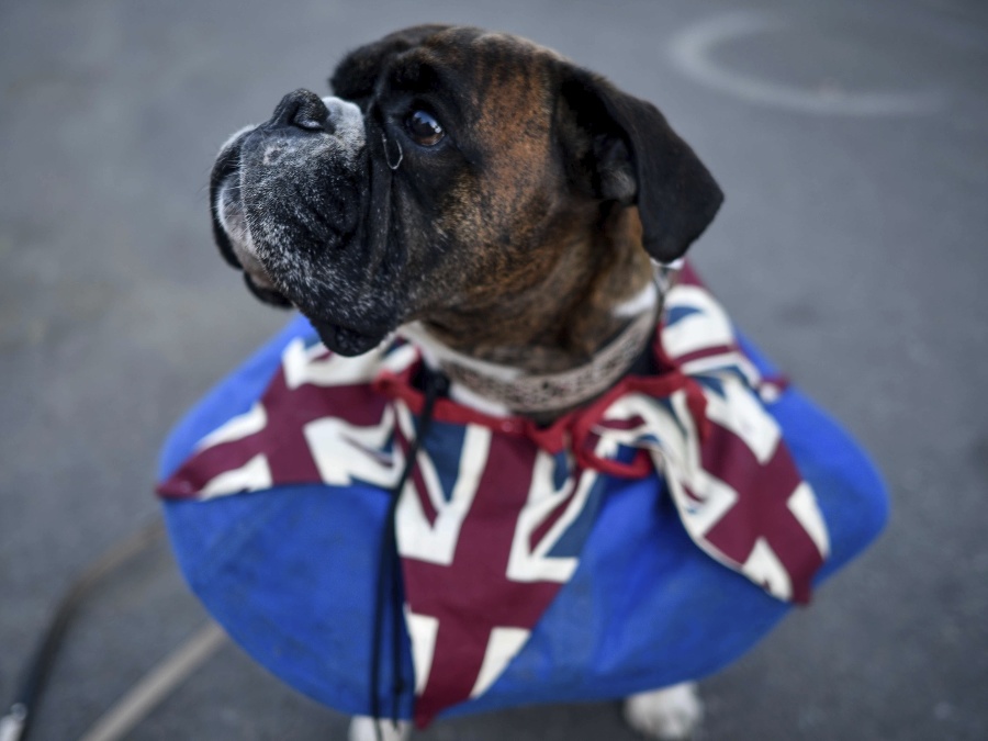 Skutočný šľachtic