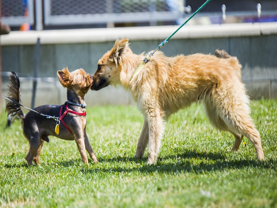 Všetci sme priatelia